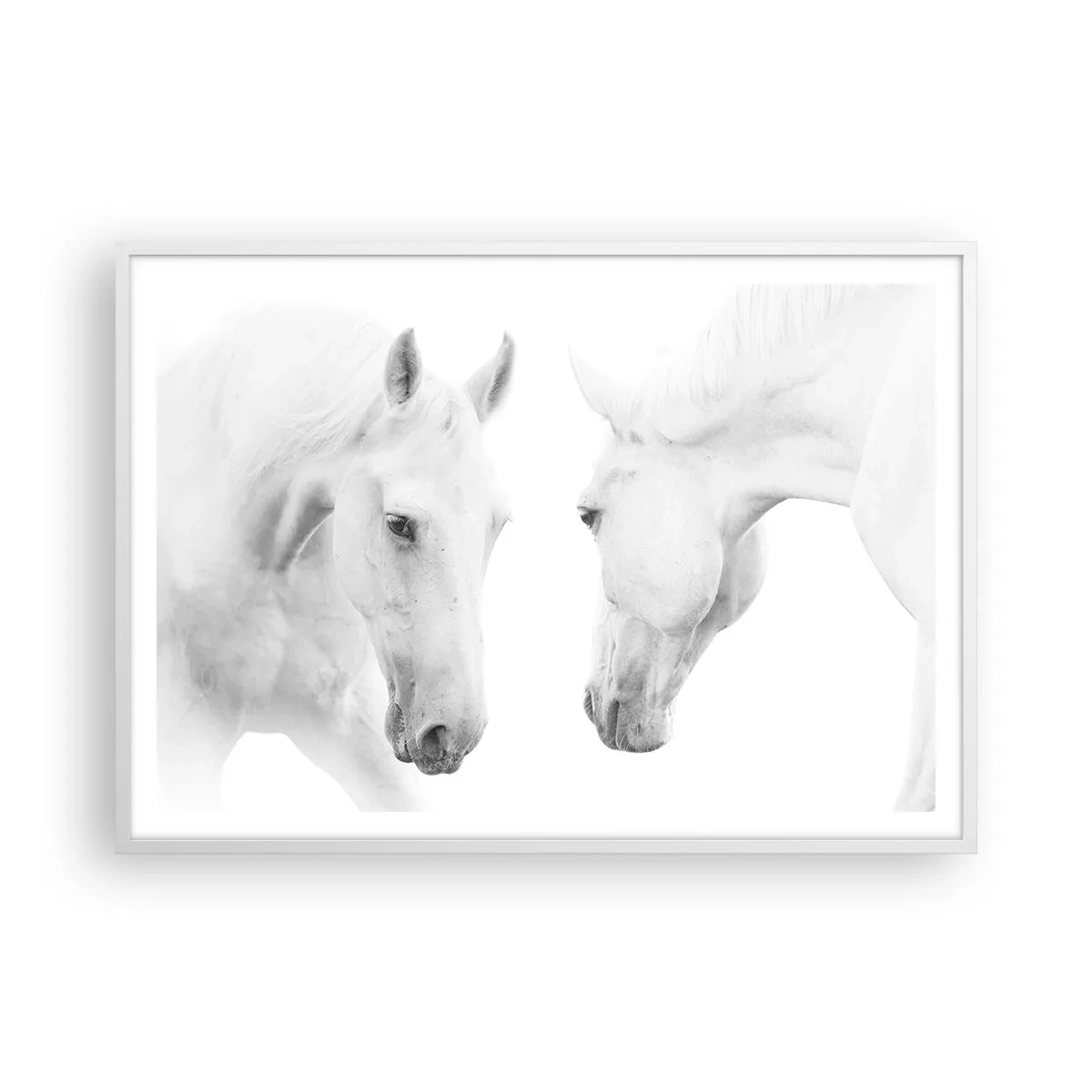Affiche dans un cadre blanc - Poster - Serait-ce de l’amitié? - 100x70 cm