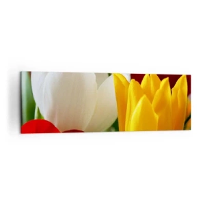Impression sur toile - Image sur toile - Gros plan de tulipes colorées sur un fond printanier - 160x50cm - La fièvre des tulipes - Décoration murale moderne pour le salon et la chambre ARTTOR