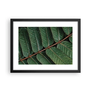 Affiche dans un cadre noir - Poster - Au rythme de la verdure - 40x30 cm