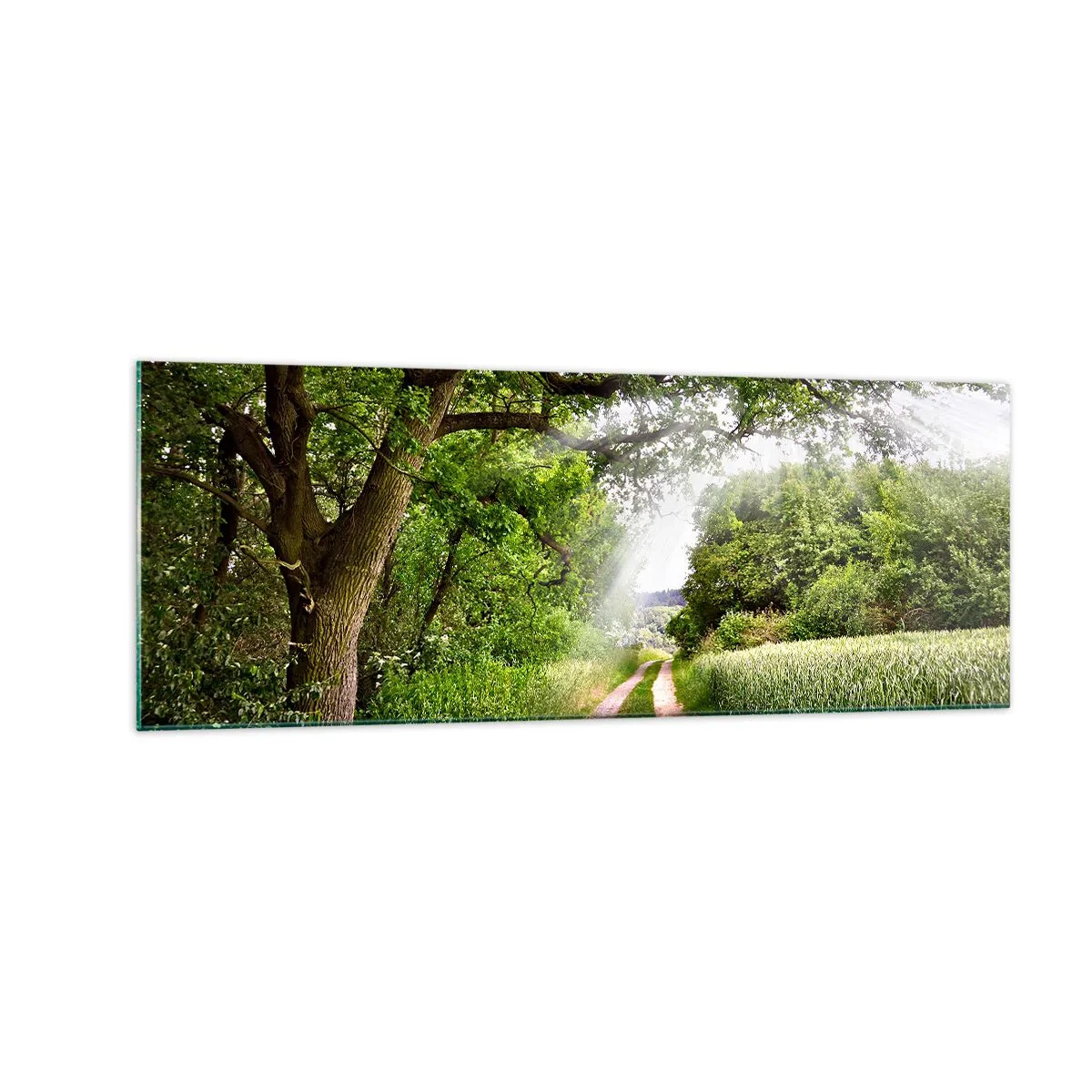 Impression sur verre - Image sur verre - Un chemin de terre parmi les arbres verts et la lumière du soleil - 140x50cm - Et in Arcadia ego - Décoration murale moderne pour le salon et la chambre ARTTOR