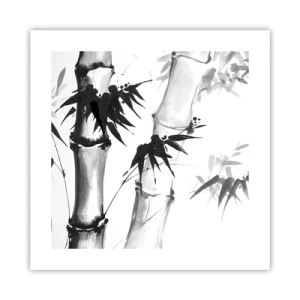 Affiche - Poster - Gros plan sur l'orient - 40x40 cm