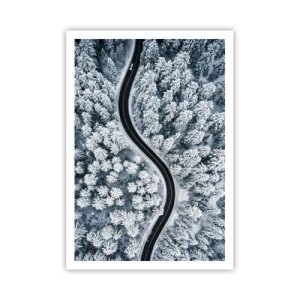 Affiche - Poster - À travers une forêt d'hiver - 70x100 cm