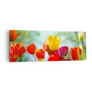 Impression sur toile - Image sur toile - Tulipes colorées au soleil - 140x50cm - Toutes les couleurs du soleil - Décoration murale moderne pour le salon et la chambre ARTTOR