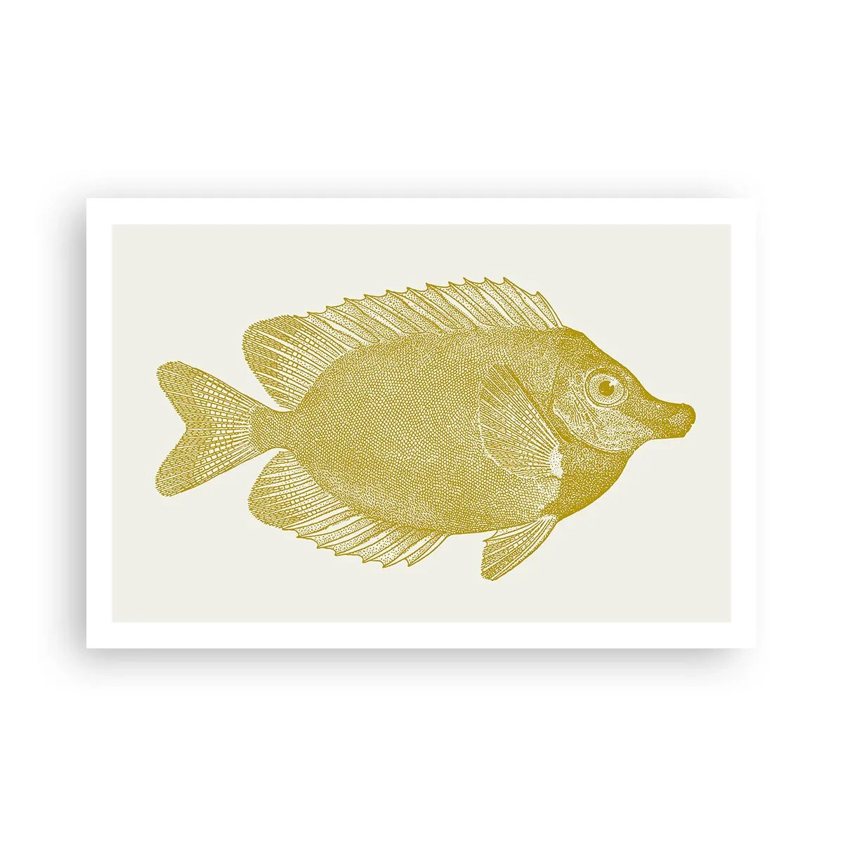 Affiche - Poster - Du poisson et c'est tout - 91x61 cm