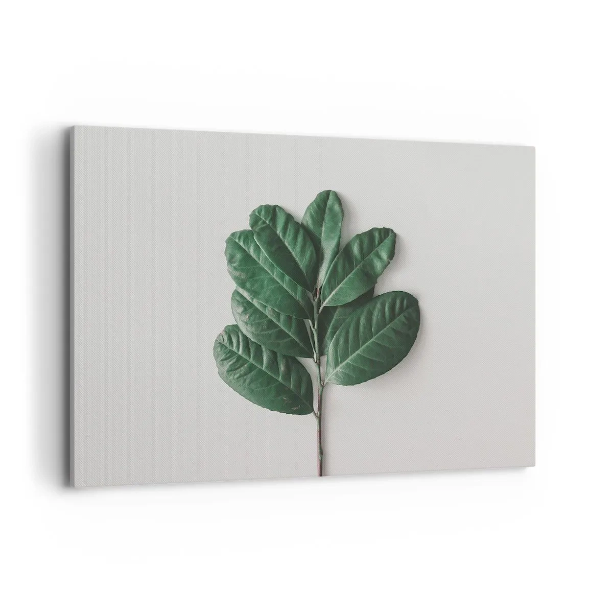 Impression sur toile - Image sur toile - Un brin de feuilles vertes sur un fond clair - 120x80cm - Dessin de la nature elle-même - Décoration murale moderne pour le salon et la chambre ARTTOR