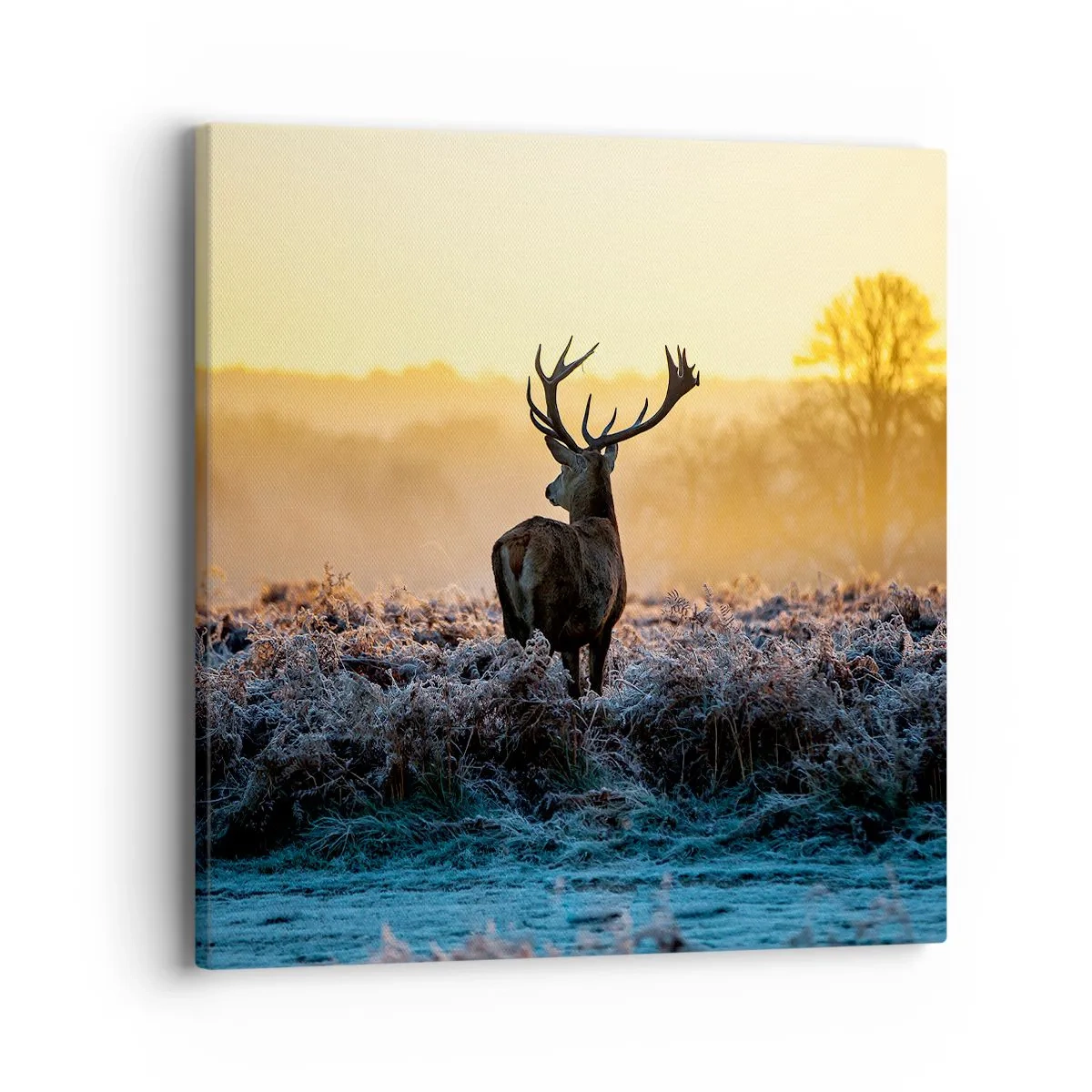 Impression sur toile - Image sur toile - Couronné pour sa succession - 40x40 cm