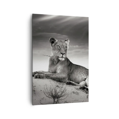 Impression sur toile - Image sur toile - Portrait noir et blanc d'une lionne dans la savane - 70x100cm - La reine du désert reste - Décoration murale moderne pour le salon et la chambre ARTTOR