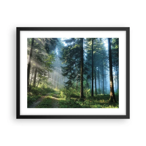 Affiche dans un cadre noir - Poster - Rayonnant le matin - 50x40 cm