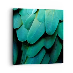 Impression sur toile - Image sur toile - Perfection de la nature du perroquet - 30x30 cm
