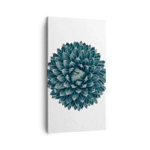 Impression sur toile - Image sur toile - Étoile du désert - 45x80 cm