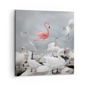 Impression sur toile - Image sur toile - Comment suis-je arrivé là? - 60x60 cm
