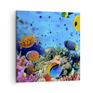 Impression sur toile - Image sur toile - Et que sait-on de la vie… - 50x50 cm