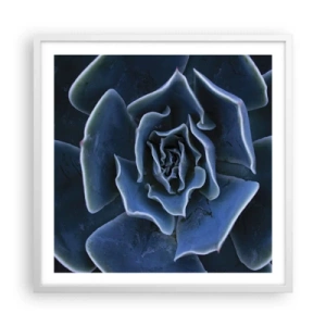 Affiche dans un cadre blanc - Poster - Fleur du désert - 60x60 cm