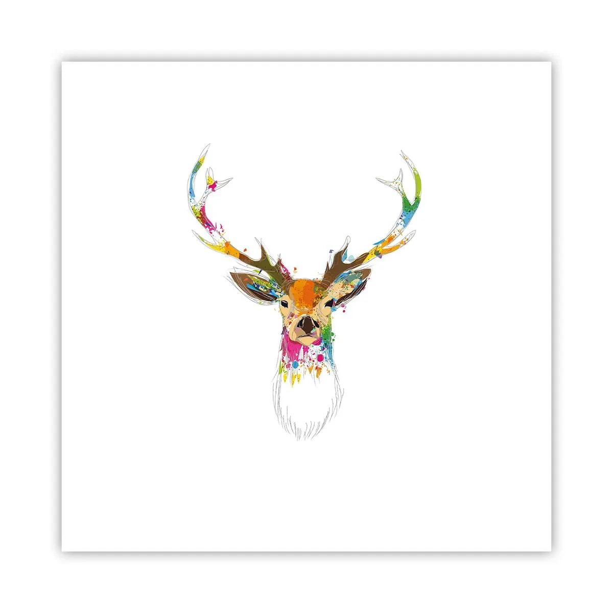 Affiche - Poster - Un cerf doux baigné de couleur - 30x30 cm