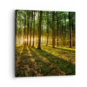 Impression sur toile - Image sur toile - Toutes les photographies de printemps - 30x30 cm