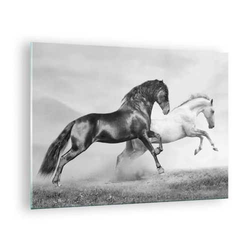 Impression sur verre - Image sur verre - Chevaux noirs et blancs dans un cadre dynamique - 70x50cm - Anges et démons - Décoration murale moderne pour le salon et la chambre ARTTOR