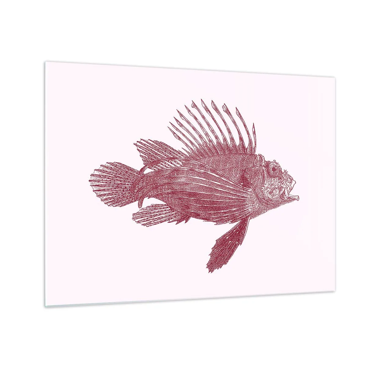 Impression sur verre - Image sur verre - Un habitant des eaux exotiques - 70x50 cm