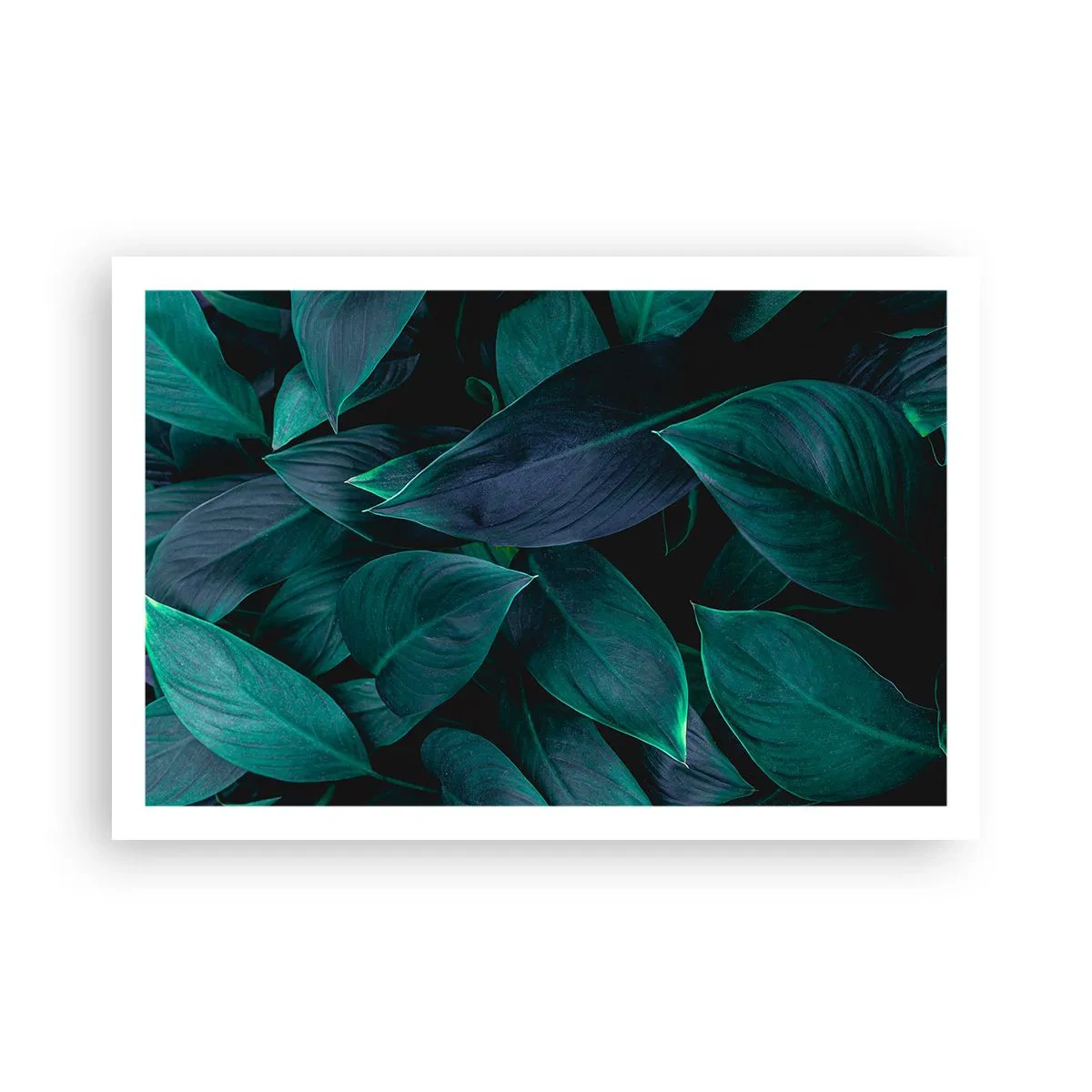 Affiche - Poster - le vert lui-même - 91x61 cm