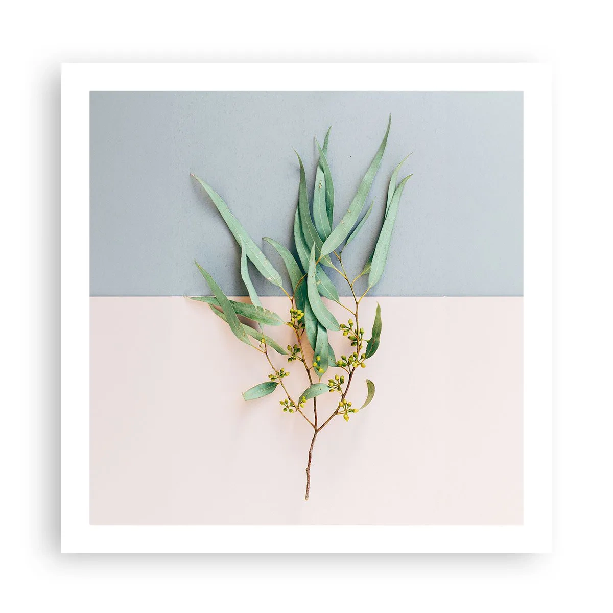 Affiche - Poster - Subtilité pastel - 60x60 cm