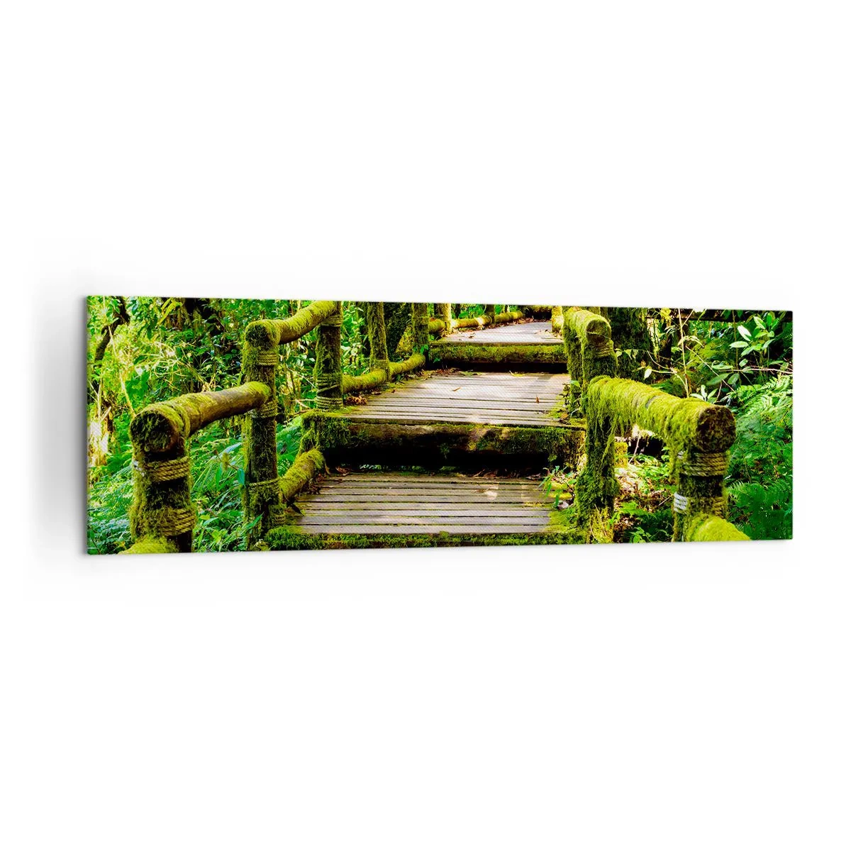 Impression sur toile - Image sur toile - Un pont en bois recouvert de mousse dans une forêt tropicale - 160x50cm - Un couloir de verdure - Décoration murale moderne pour le salon et la chambre ARTTOR