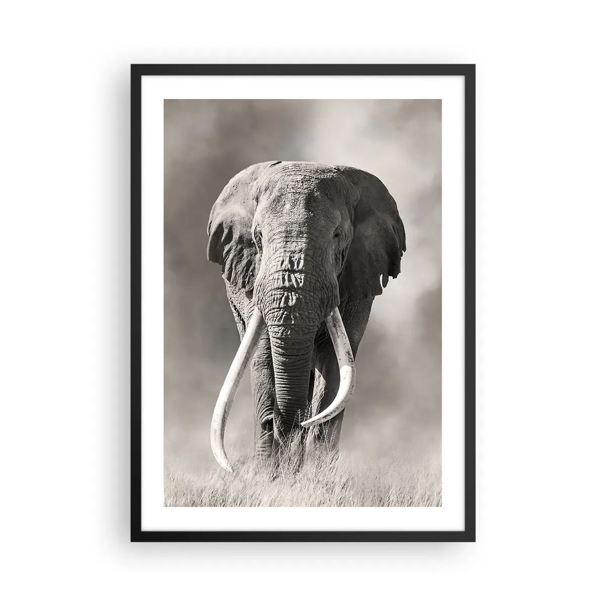 Affiche dans un cadre noir - Poster - Portrait monochrome d'un éléphant majestueux - 50x70cm - Patriarche africain - Décoration murale moderne pour le salon et la chambre ARTTOR