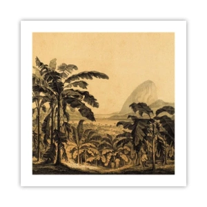 Affiche - Poster - Dans un climat colonial - 50x50 cm