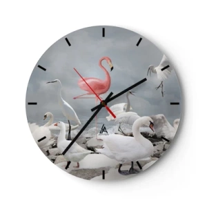 Horloge murale - Pendule murale - Un flamant rose parmi des cygnes blancs et des hérons au-dessus de l'eau - 30x30cm - Comment suis-je arrivé là? - Décoration murale moderne pour le salon, la cuisine et la chambre ARTTOR