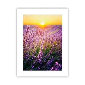 Affiche - Poster - Tige parfumée - 30x40 cm