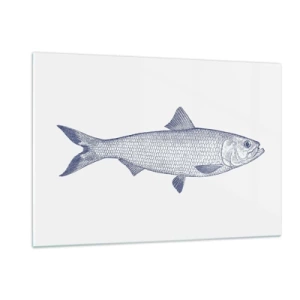 Impression sur verre - Image sur verre - Croquis de poisson de style vintage sur fond clair - 120x80cm - Salutations des mers du nord - Décoration murale moderne pour le salon et la chambre ARTTOR