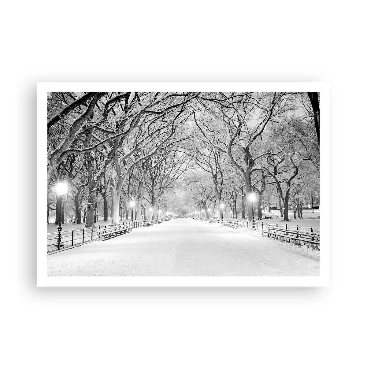 Affiche - Poster - Une allée d'hiver avec des arbres enneigés en monochrome - 100x70cm - Les quatres saisons – l’hiver - Décoration murale moderne pour le salon et la chambre ARTTOR