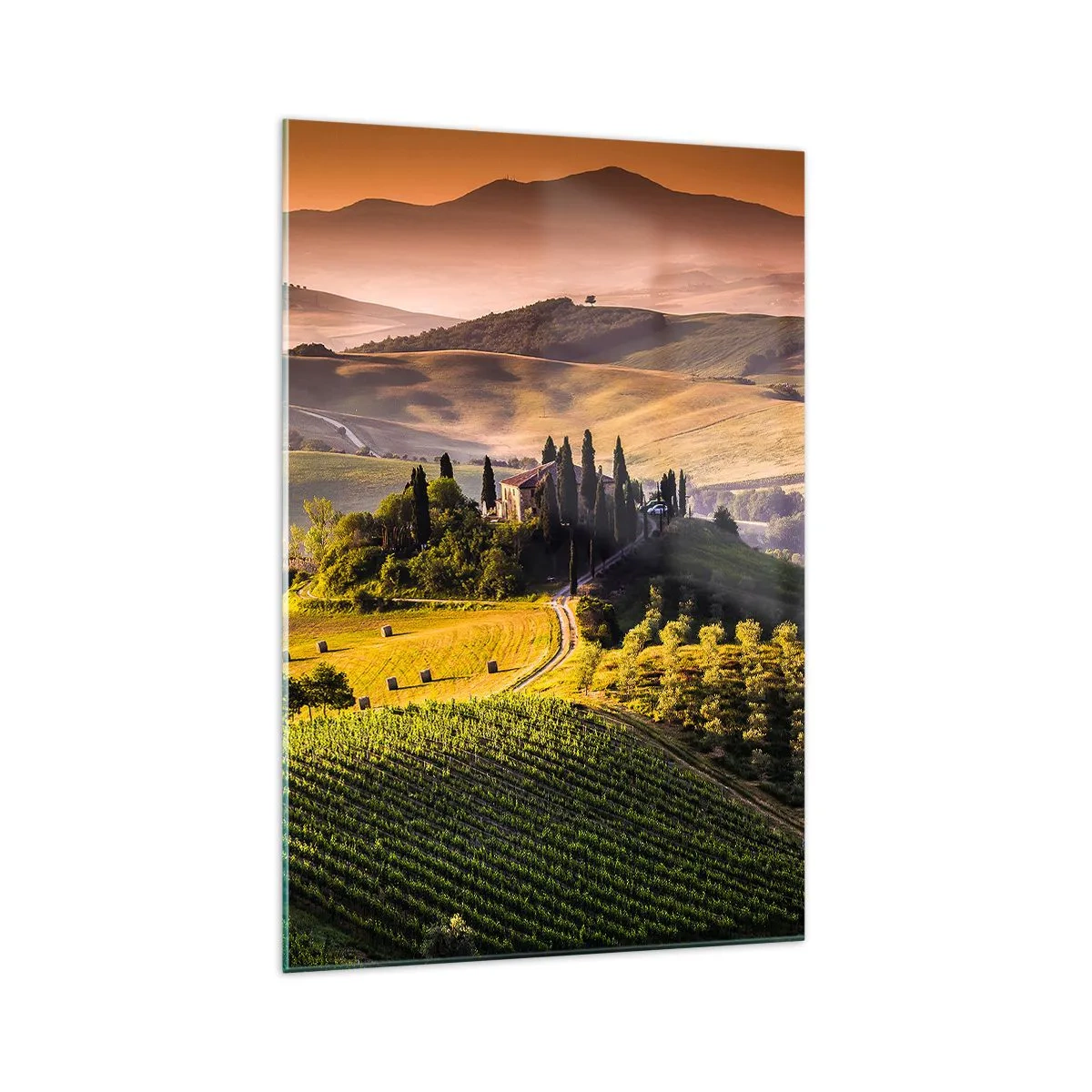 Impression sur verre - Image sur verre - Paysage toscan avec des vignes et une maison sur une colline - 70x100cm - Arcadie - le paysage toscan - Décoration murale moderne pour le salon et la chambre ARTTOR