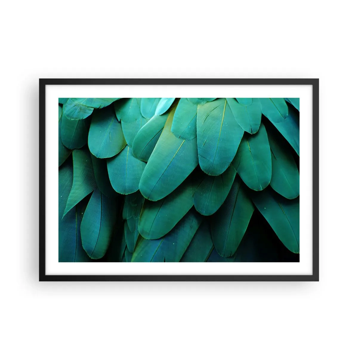 Affiche dans un cadre noir - Poster - Détail de plumes dans des tons de vert - 70x50cm - Perfection de la nature du perroquet - Décoration murale moderne pour le salon et la chambre ARTTOR