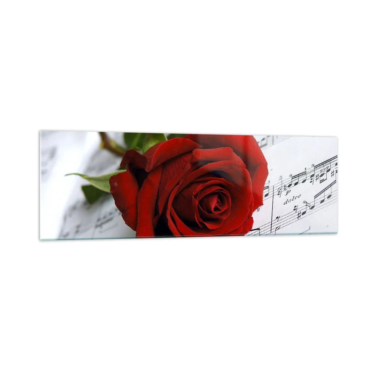 Impression sur verre - Image sur verre - Une rose rouge sur fond de notes de musique sur papier blanc. - 160x50cm - Musique des sentiments en écarlate - Décoration murale moderne pour le salon et la chambre ARTTOR
