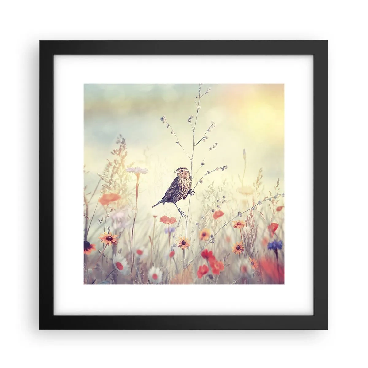 Affiche dans un cadre noir - Poster - Portrait d'oiseau sur pré en fond - 30x30 cm
