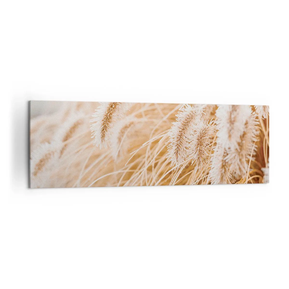 Impression sur toile - Image sur toile - Gros plan d'herbes dorées et délicates au soleil - 160x50cm - Le bruissement doré de l'herbe - Décoration murale moderne pour le salon et la chambre ARTTOR