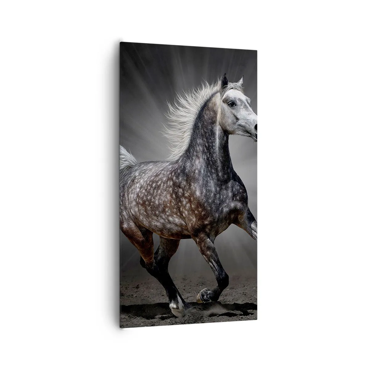 Impression sur toile - Image sur toile - Le gris est beau - 65x120 cm