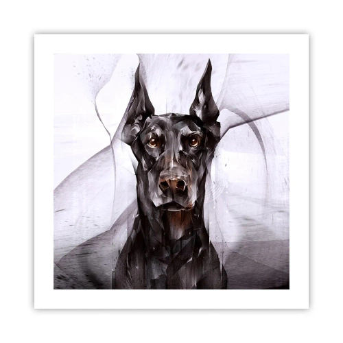 Affiche - Poster - Né noble - 50x50 cm