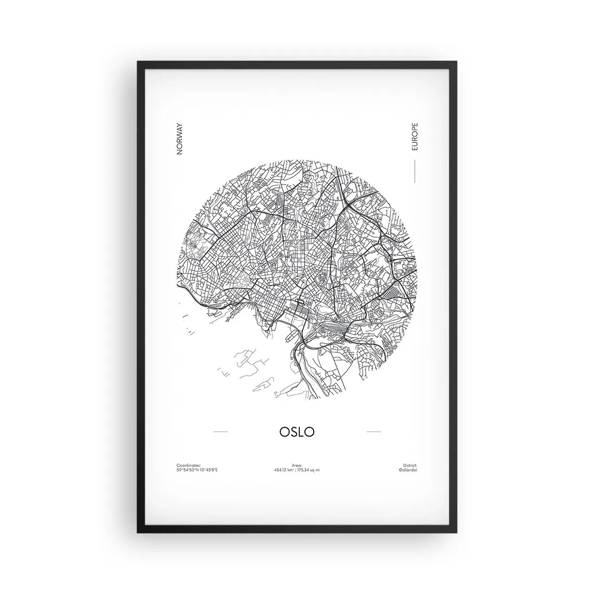 Affiche dans un cadre noir - Poster - Anatomie d’Oslo - 61x91 cm