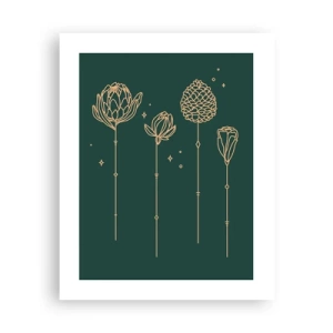 Affiche - Poster - La famille Plante - 40x50 cm