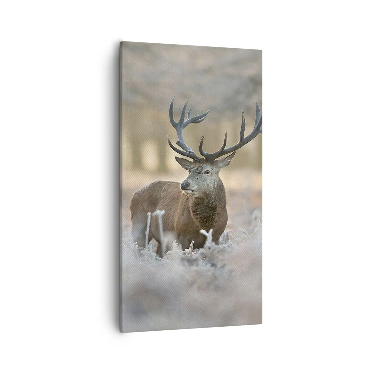 Impression sur toile - Image sur toile - Une matinée animée - 55x100 cm