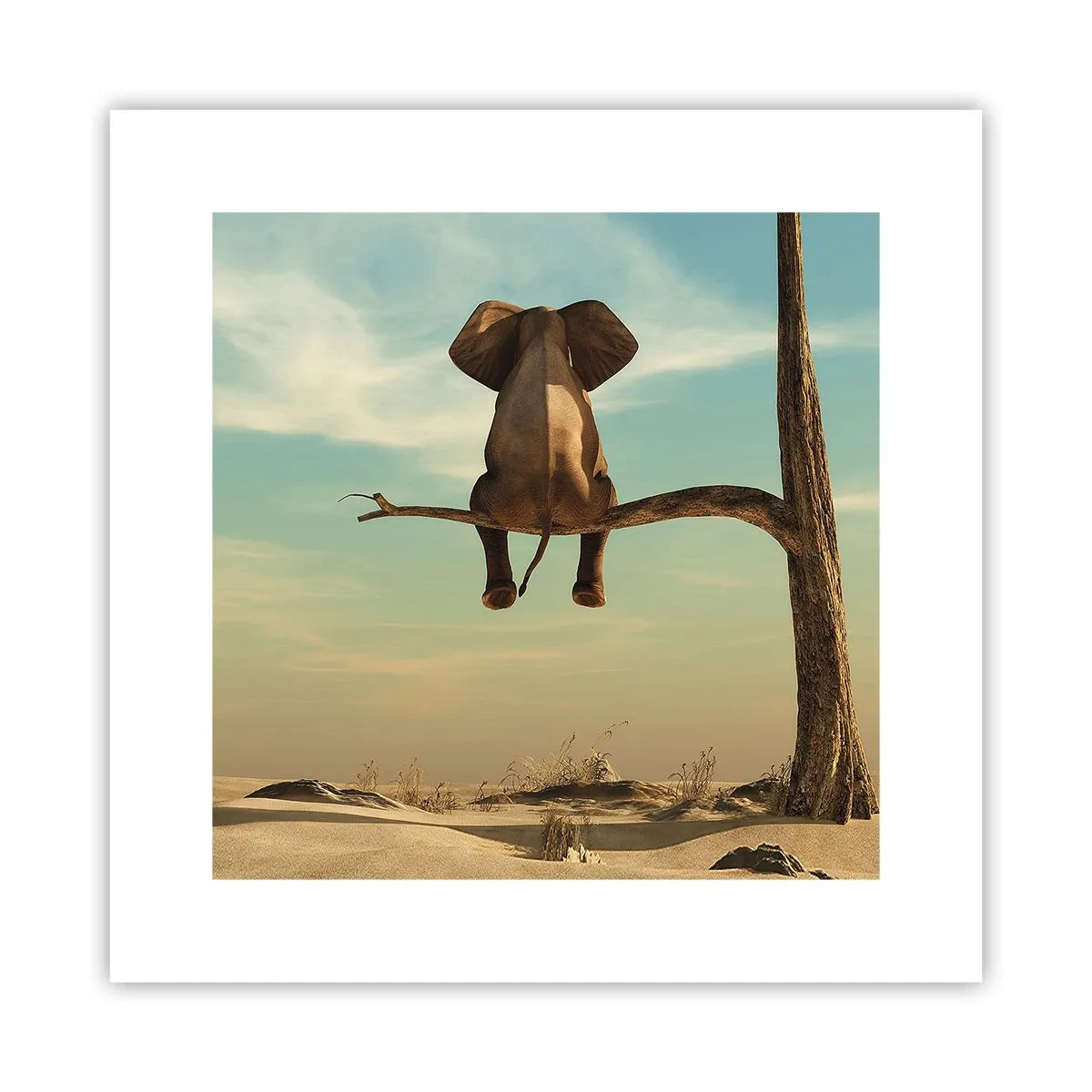 Affiche - Poster - Nouveau point de vue - 30x30 cm