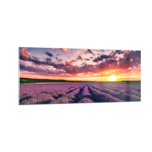 Impression sur verre - Image sur verre - Monde de lavande - 100x40 cm