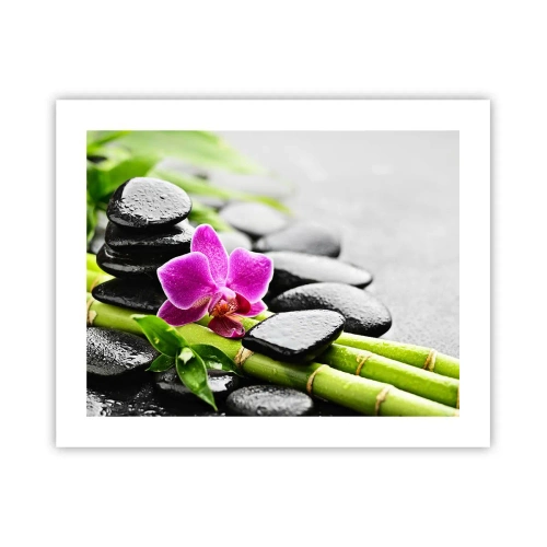 Affiche - Poster - Dans un équilibre de calme - 50x40 cm