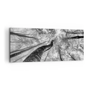 Impression sur toile - Image sur toile - Perspective d'arbres dans une forêt vue d'en bas en nuances de gris - 120x50cm - Course vers la lumière - Décoration murale moderne pour le salon et la chambre ARTTOR