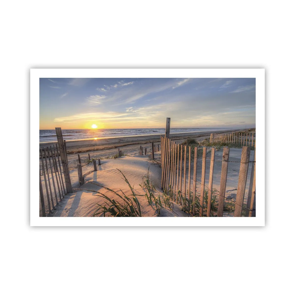 Affiche - Poster - Ombre et brillance du vent - 91x61 cm