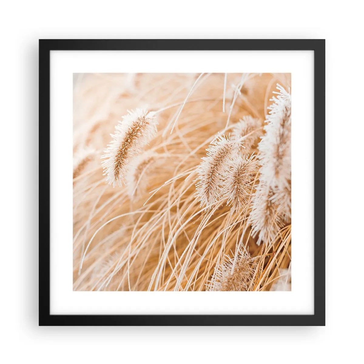 Affiche dans un cadre noir - Poster - Le bruissement doré de l'herbe - 40x40 cm