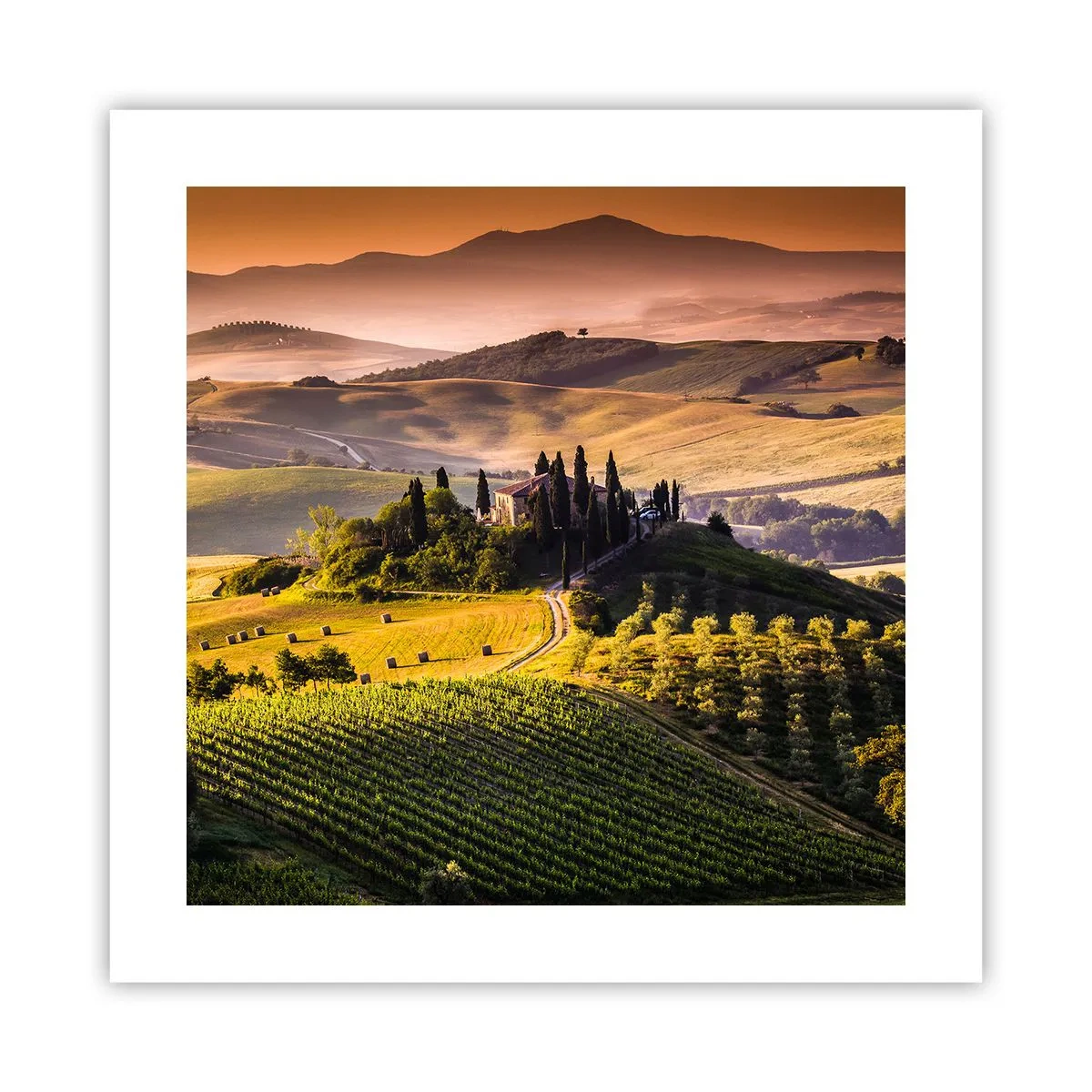 Affiche - Poster - Arcadie - le paysage toscan - 40x40 cm