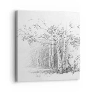Impression sur toile - Image sur toile - Lumière d'une forêt de bouleaux - 30x30 cm