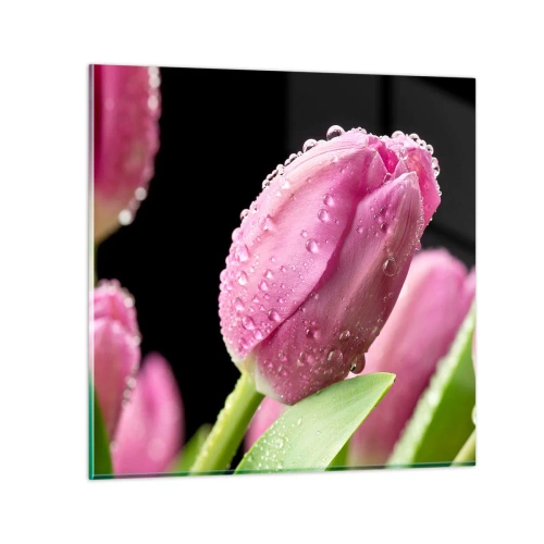 Impression sur verre - Image sur verre - Rêve de lilas dans la rosée - 30x30 cm