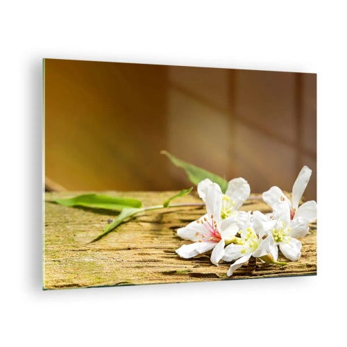 Impression sur verre - Image sur verre - Fleurs blanches sur fond de bois dans une lumière chaude - 70x50cm - Une promesse innocente - Décoration murale moderne pour le salon et la chambre ARTTOR